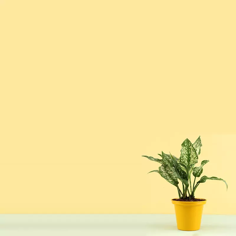 Essential Social Media Tips for Small Business